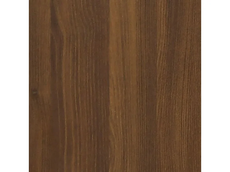 Armoire à chaussures Chêne marron 102x36x60 Bois d'ingénierie