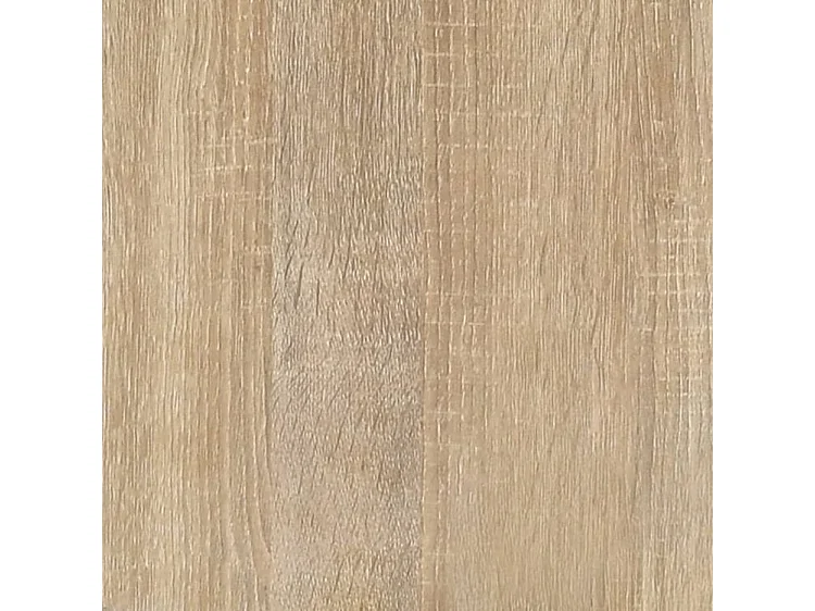 Armoire à chaussures Chêne sonoma 100x35x45 Bois d'ingénierie