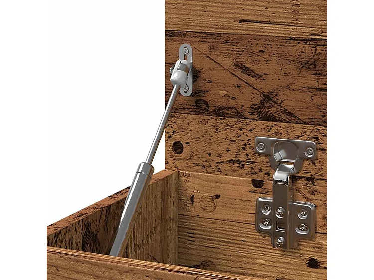 Banc à chaussures avec coffre de rangement Lula L80xH45xP30 – Chic et pratique-Couleur Marron noisette