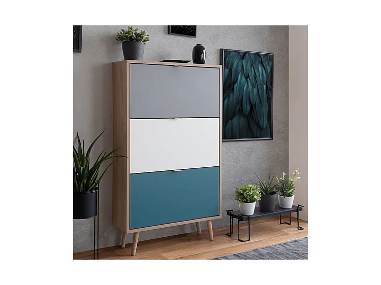 Finori Armoire à chaussures C-uba 42 Chêne Sonoma et tricolore