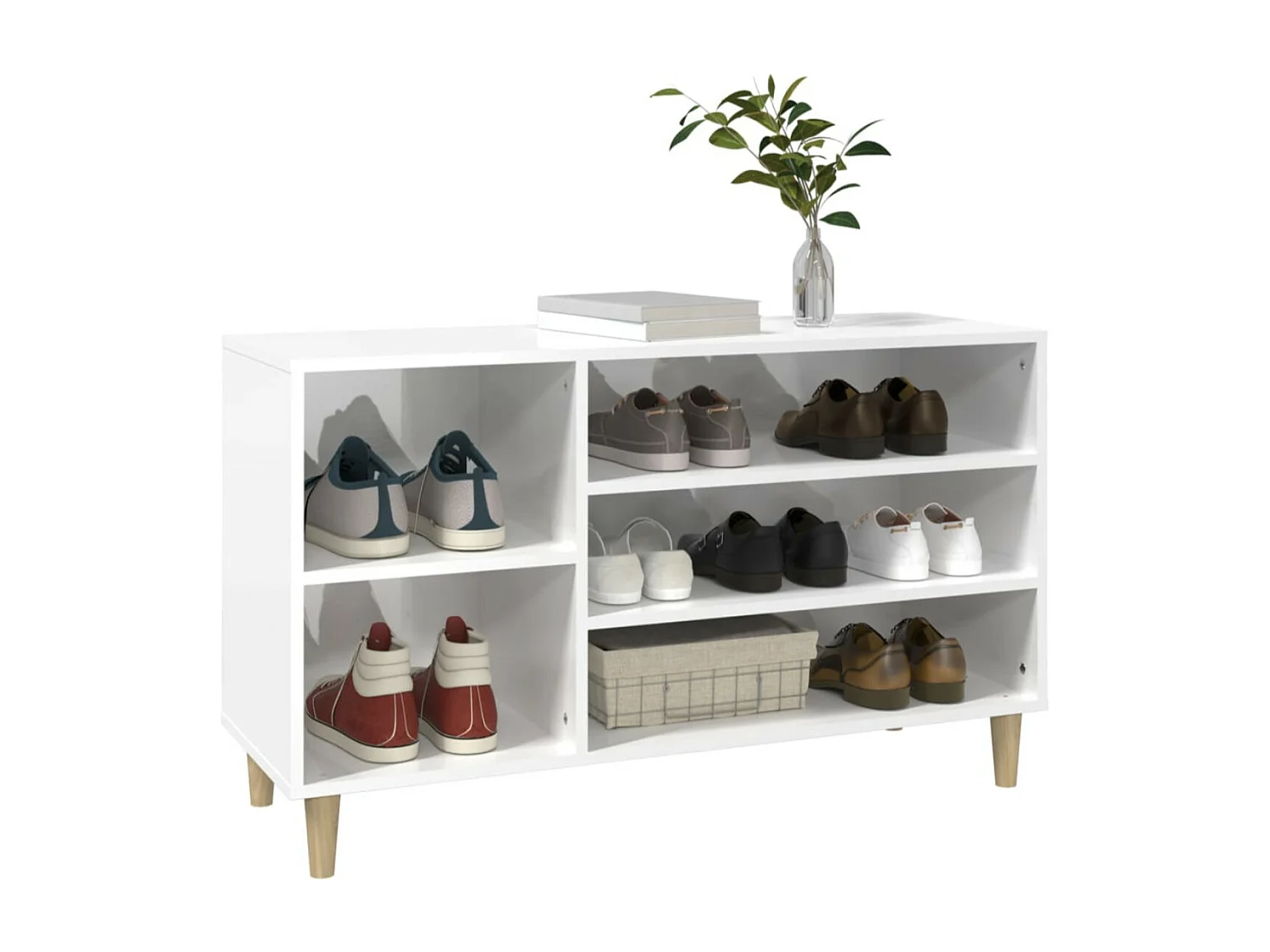 Meuble à chaussures Briko – Style et rangement optimal-Couleur Noir-Modèle de pieds Noir fin