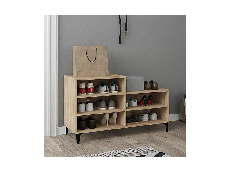 Armoire à chaussures Chêne sonoma 102x36x60 Bois d'ingénierie