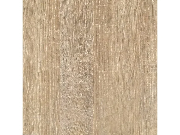 Armoire à chaussures Chêne sonoma 102x36x60 Bois d'ingénierie