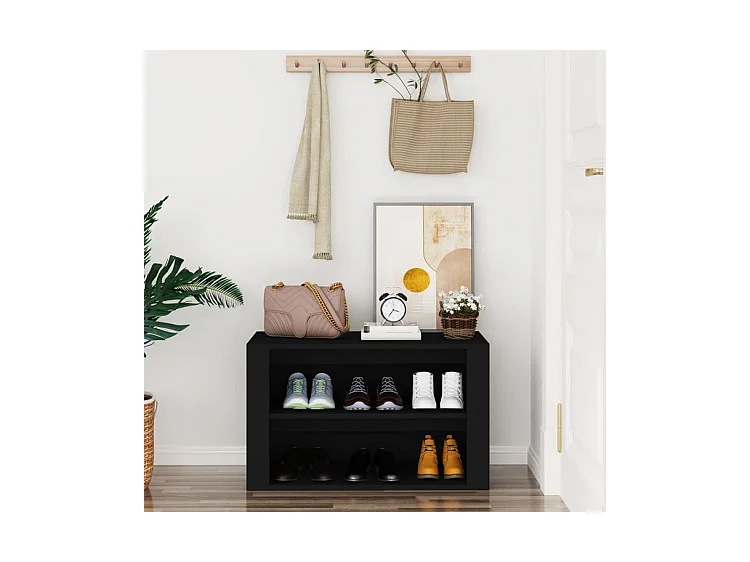 Étagère à chaussures 2 niveaux Padela – Praticité et élégance pour un intérieur bien rangé-Couleur Noir