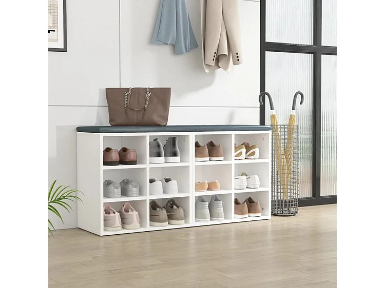 Armoires à chaussures 2 pcs Blanc 52,5x30x50