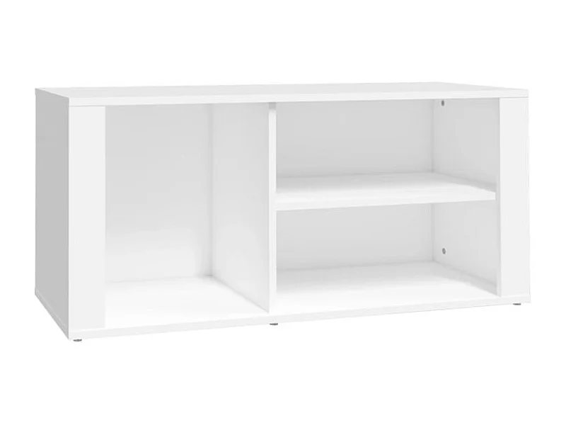 Armoire à chaussures Blanc 100x35x45 Bois d'ingénierie