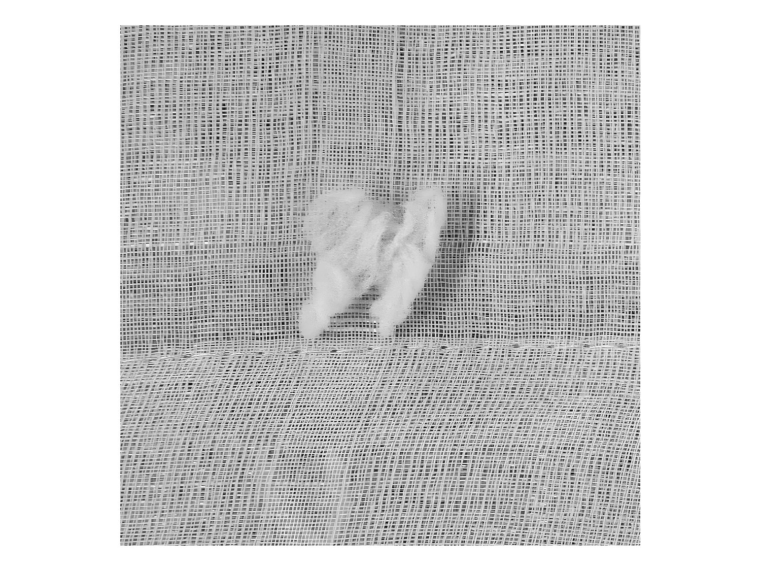 Ösen-Voile mit kleinen Pompons