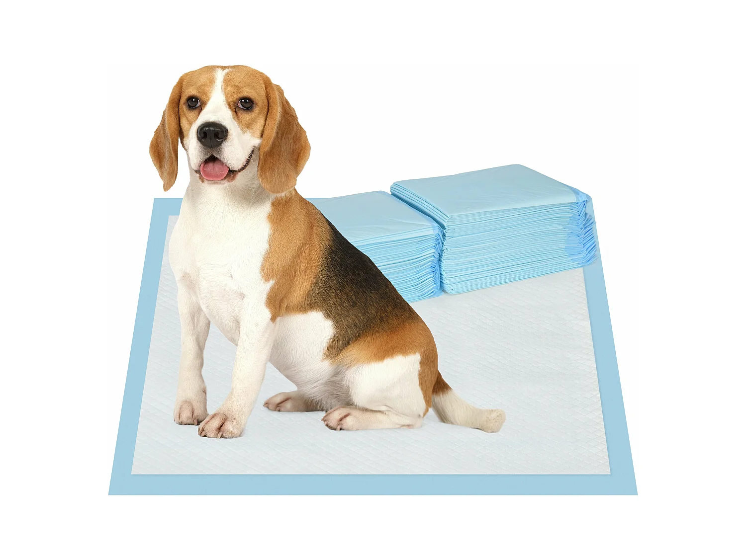 PawHut Resguardos de Treino para Animais de Estimação - 80 Unidades Absorventes 45x60 cm com 6 Camadas e Superfície Secagem Rápida Azul