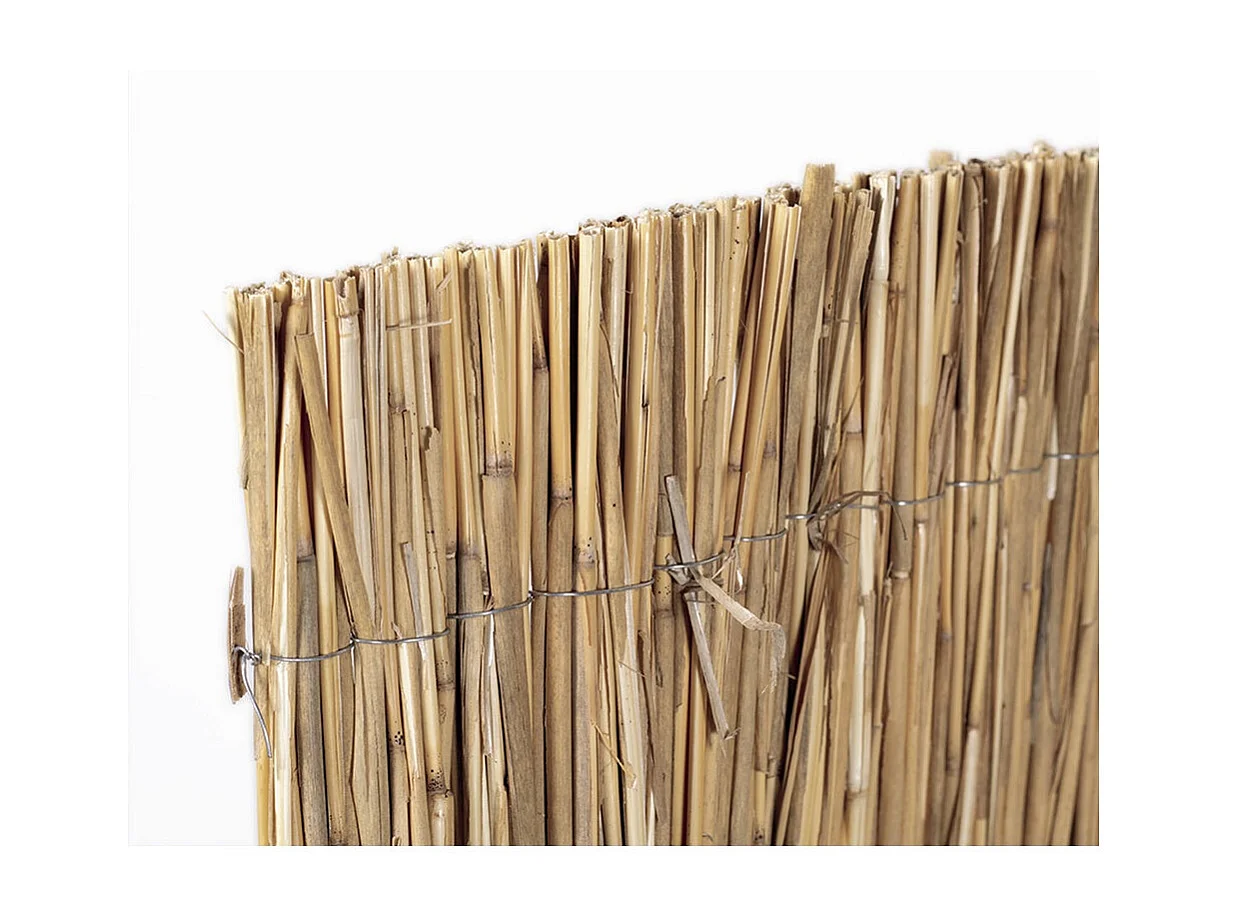 Cañizo bambú pelado multivarilla reed multi nortene 2X5 M