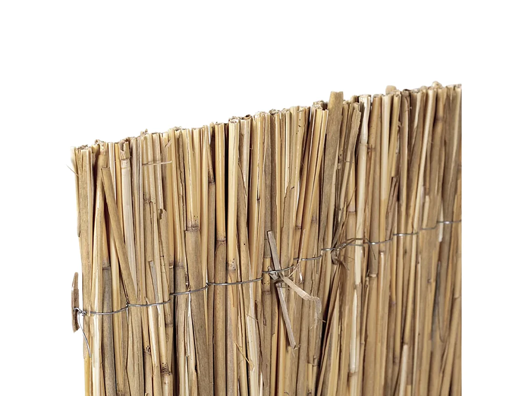 Cañizo bambú pelado multivarilla reed multi nortene 2X5 M