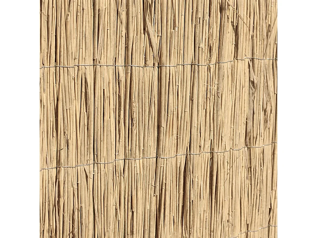 Cañizo bambú pelado multivarilla reed multi nortene 1.5X5 M