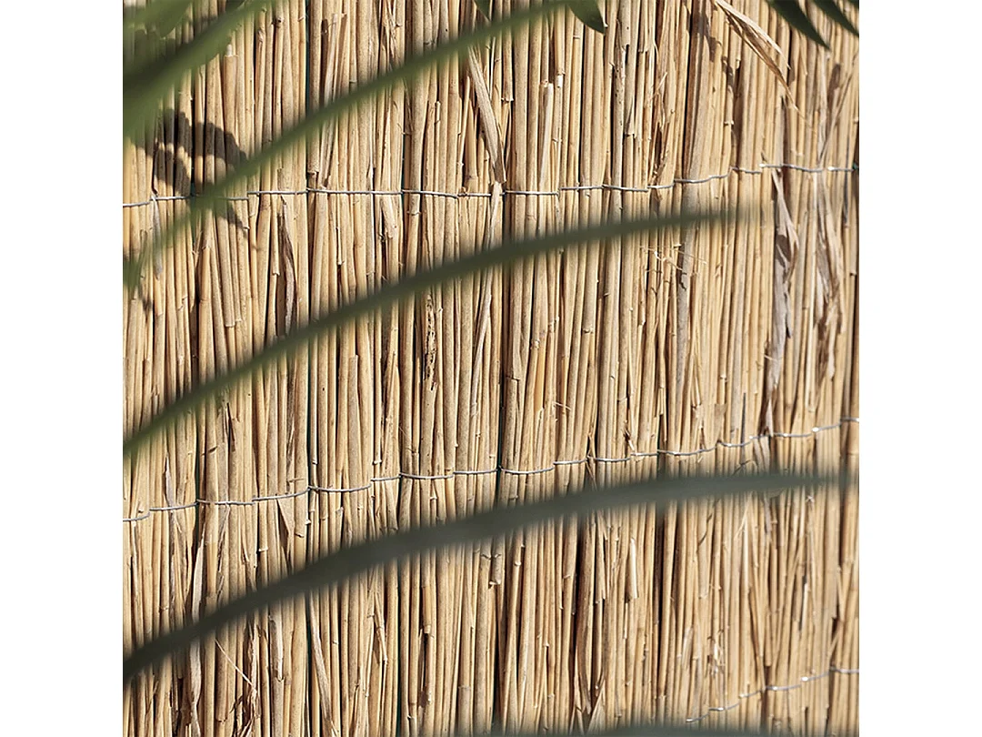 Cañizo bambú pelado multivarilla reed multi nortene 1X5 M