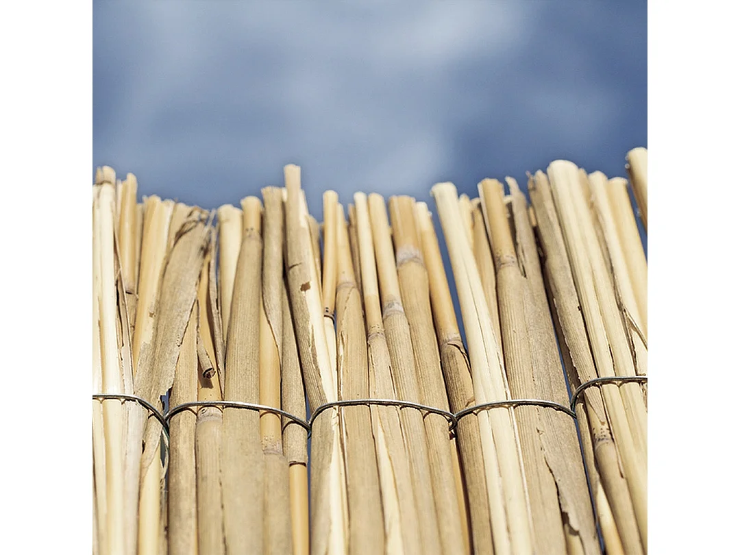 Cañizo bambú pelado multivarilla reed multi nortene 1X5 M