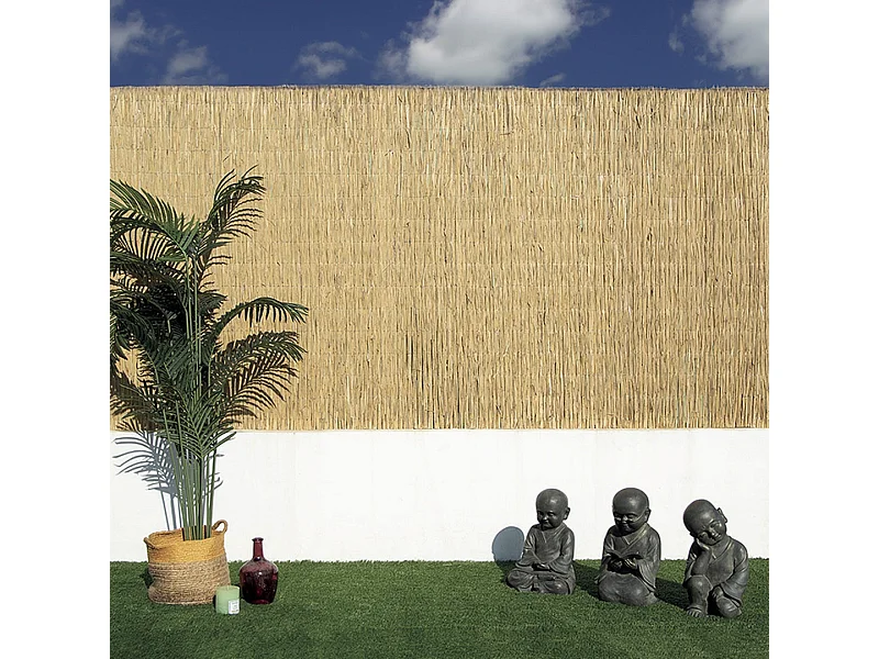 Cañizo bambú pelado multivarilla reed multi nortene 1X5 M