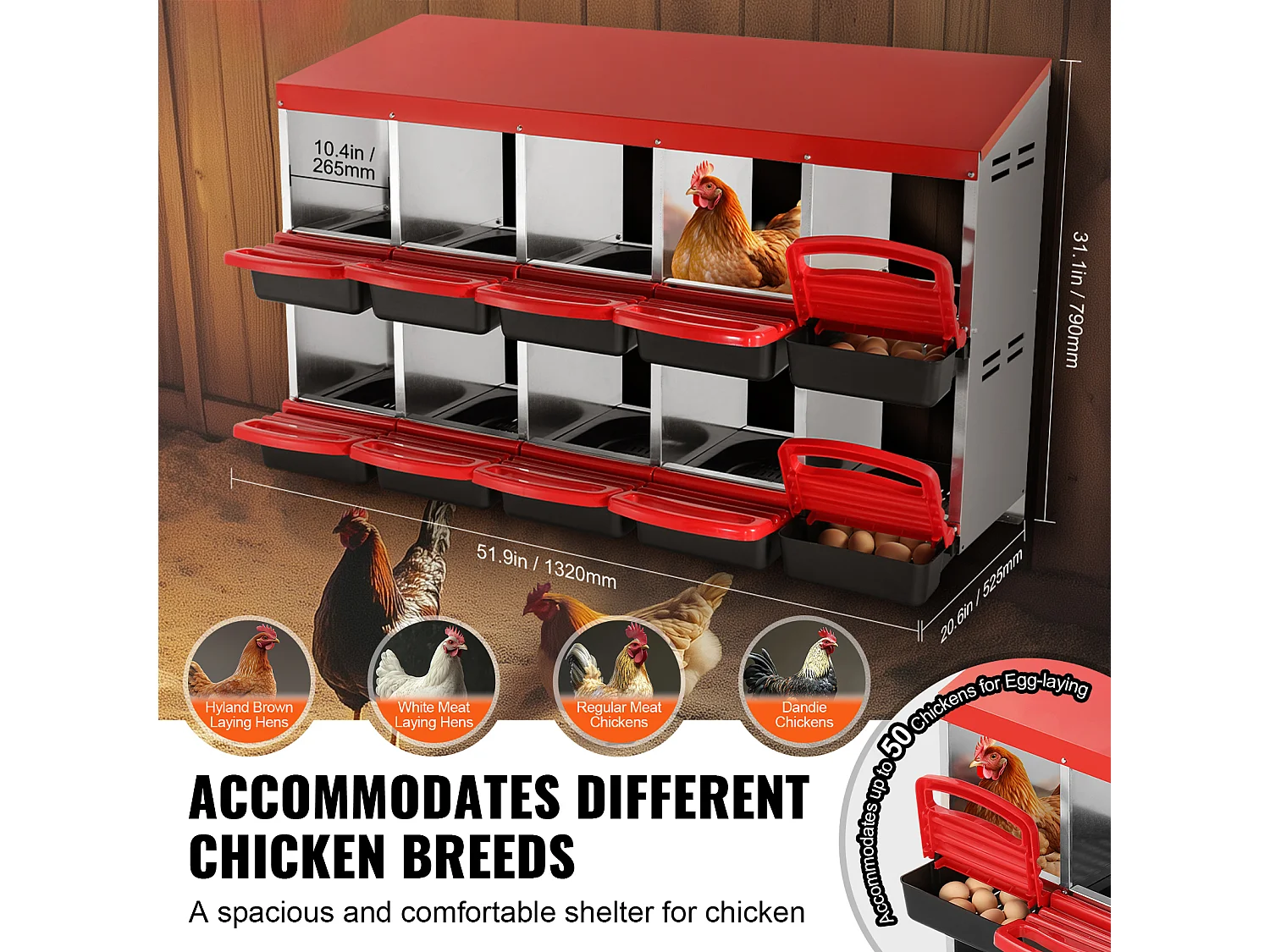 Pondoir pour Poules, SucceBuy Nichoir à Poules à 10 Compartiments, Boîte en Métal avec Conception de Nidification Inclinée