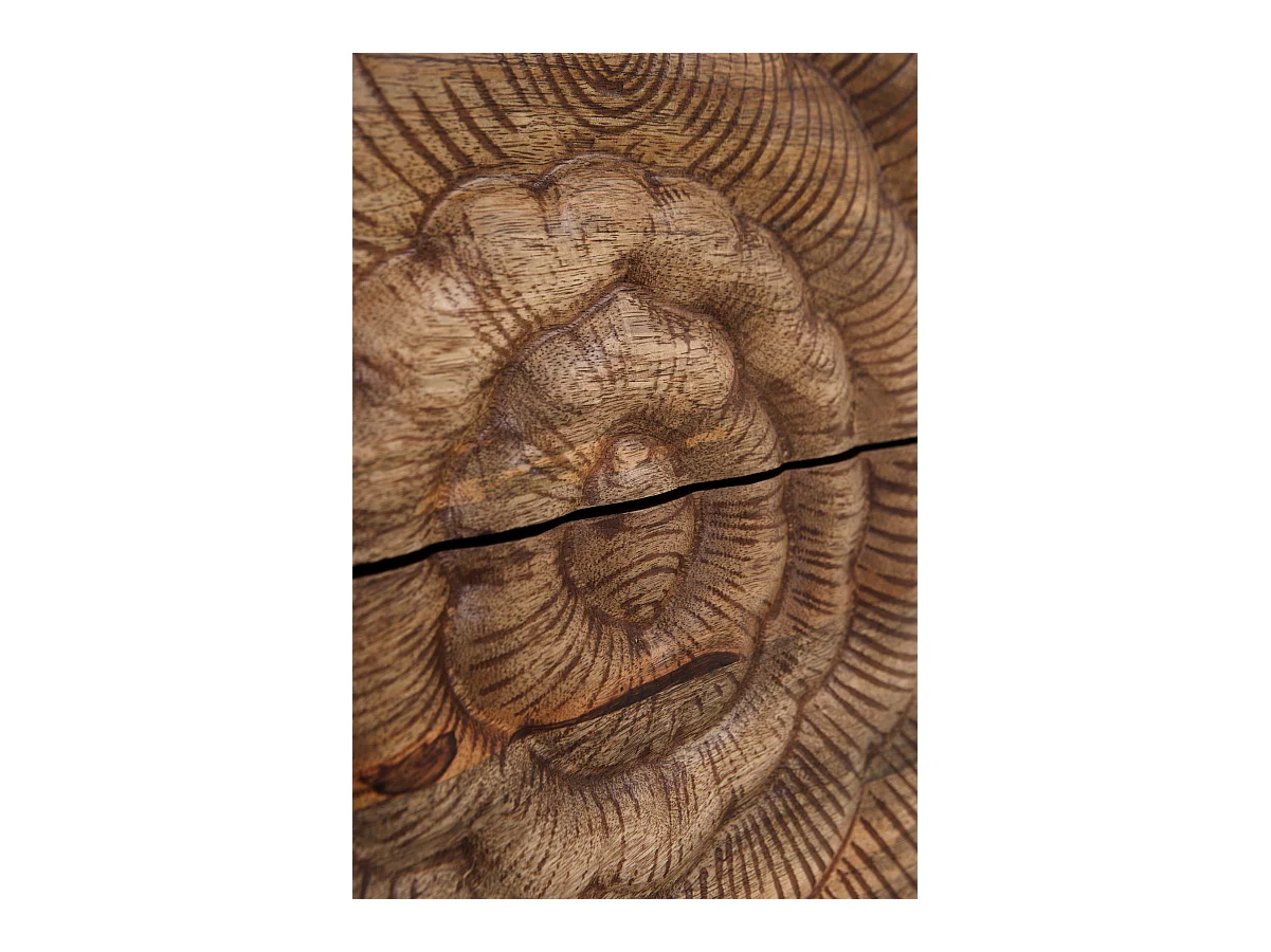 Meuble TV 2 portes et 2 tiroirs en bois massif de manguier