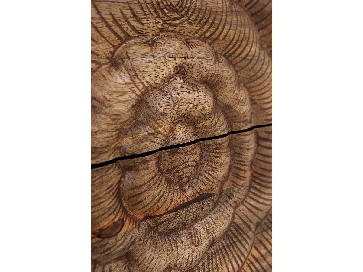 Meuble TV 2 portes et 2 tiroirs en bois massif de manguier