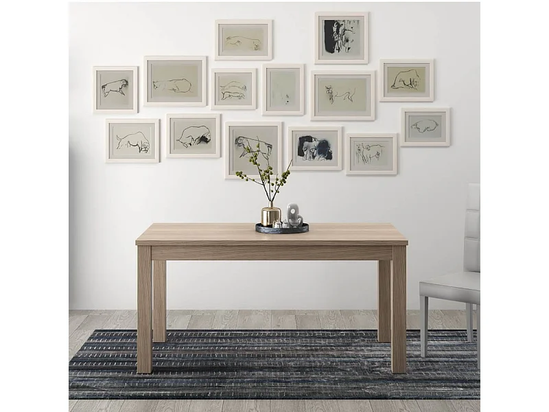 Tavolo allungabile Firenze 120x80 colore olmo