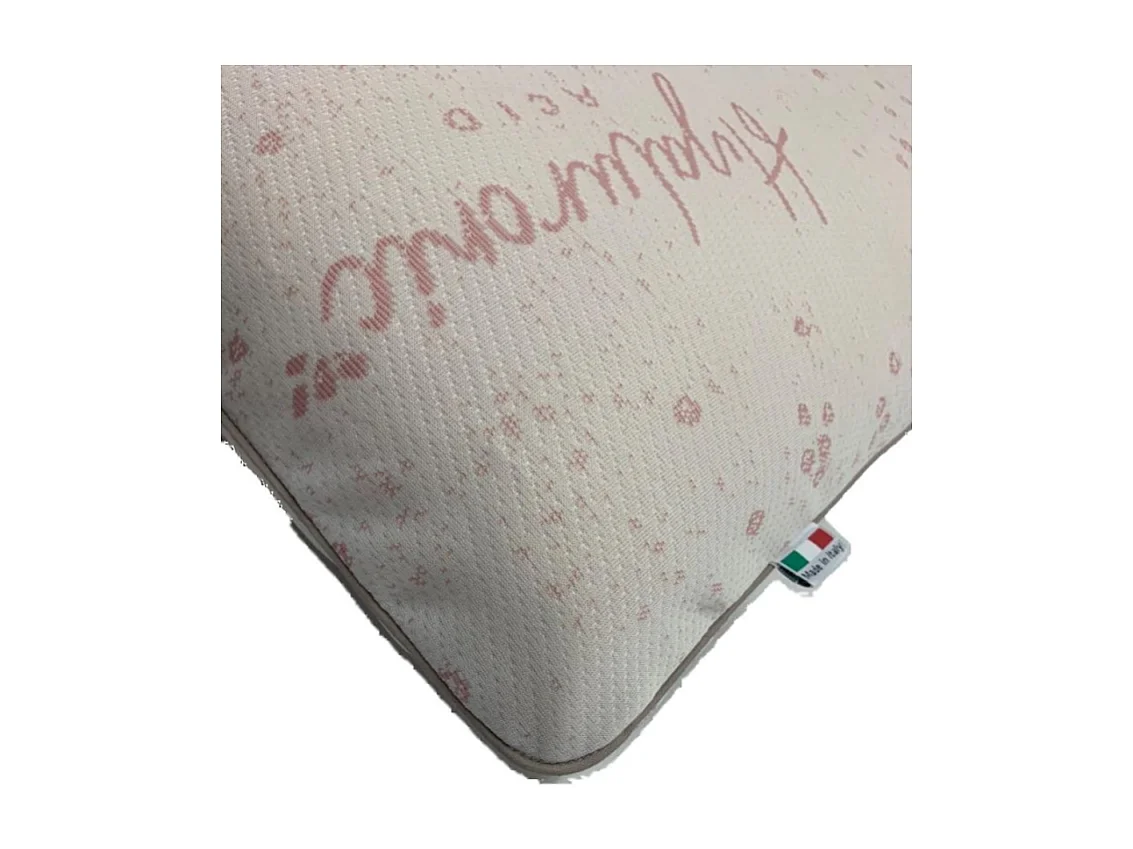 Guanciale Jialuronico13