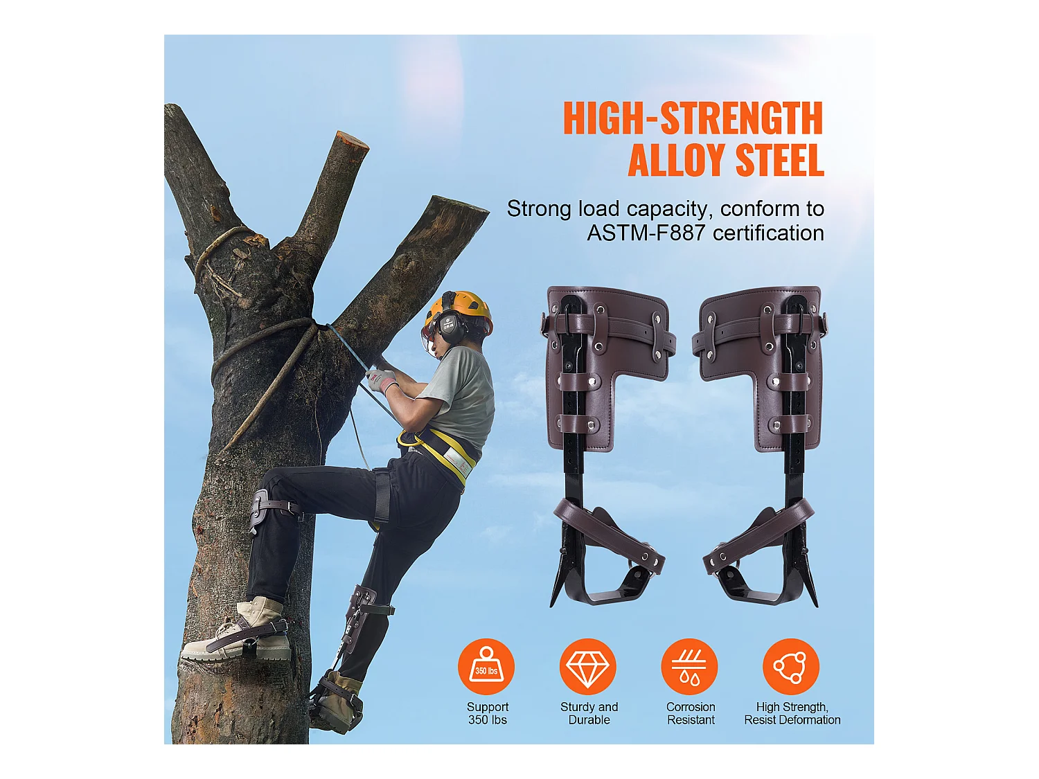 Pointes d'Escalade pour Arbres SucceBuy, Éperons d'Escalade en Acier Allié, Équipement d'Arboriste, Marron