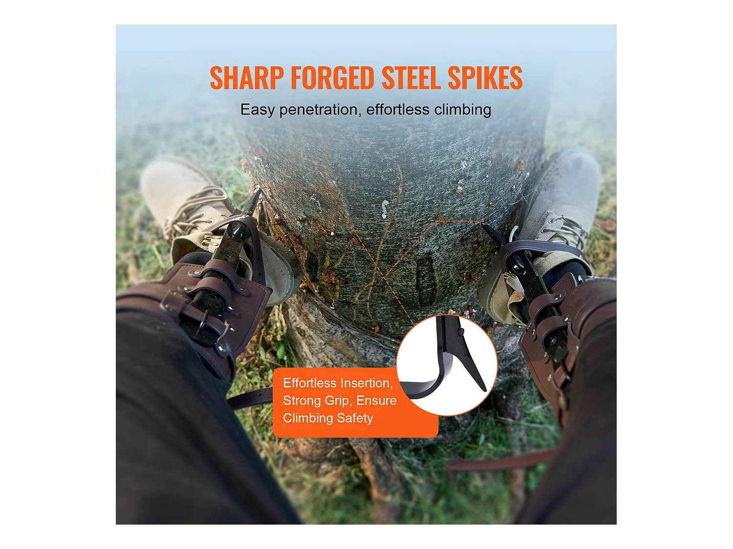 Pointes d'Escalade pour Arbres SucceBuy, Éperons d'Escalade en Acier Allié, Équipement d'Arboriste, Marron