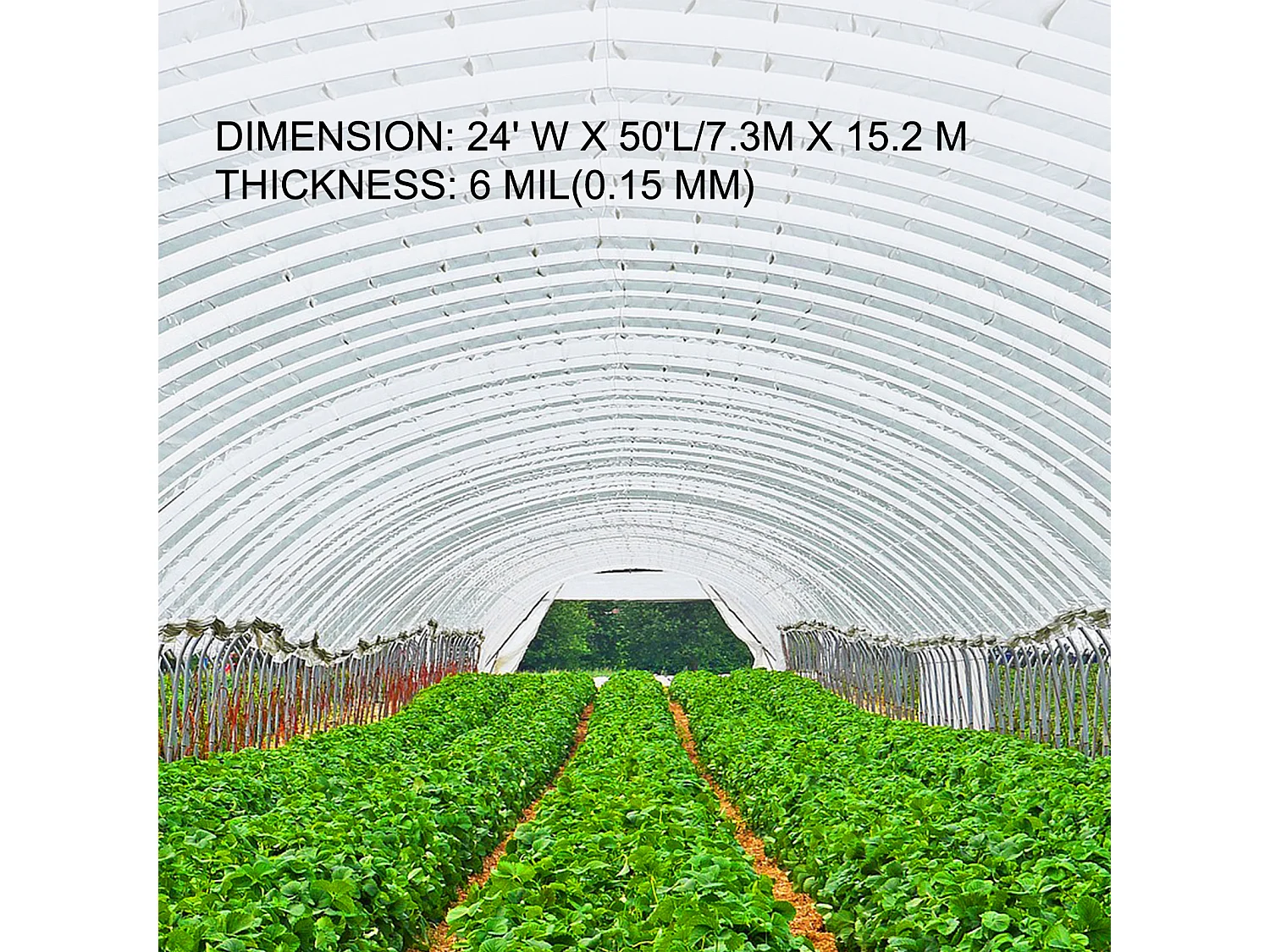 Film de Serre SucceBuy, Polyéthylène pour Serre Bâche Transparente pour les Projets Industriels, 7.32x15.24 m