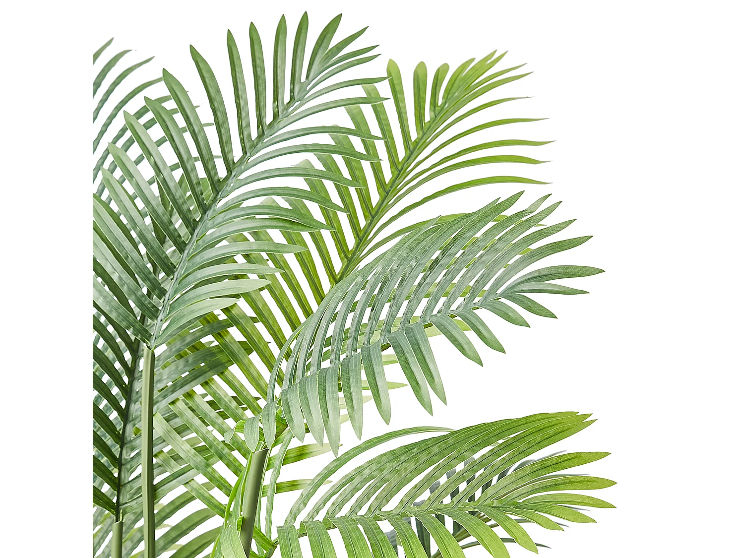 Palmier Artificiel en Canne Dorée SucceBuy de 2 m, Fausse Plante Verte Réaliste Décorative