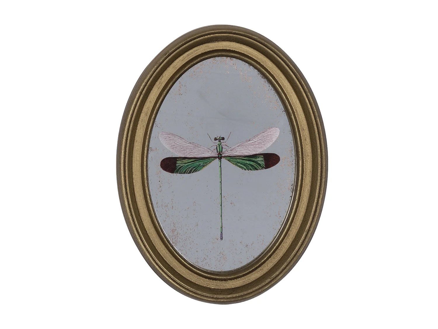 Déco murale encadrée libellule doré 20x30cm