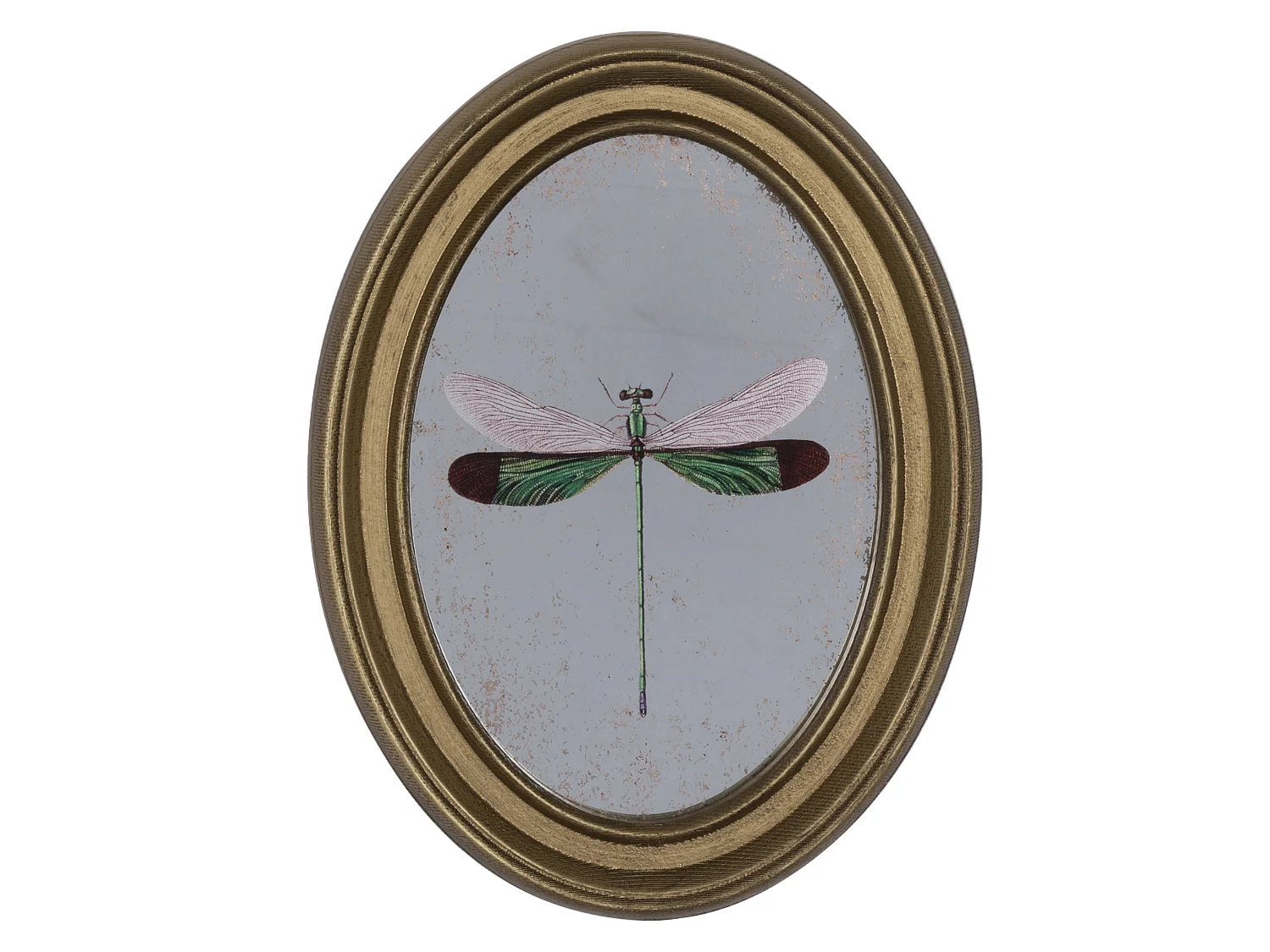 Déco murale encadrée libellule doré 20x30cm