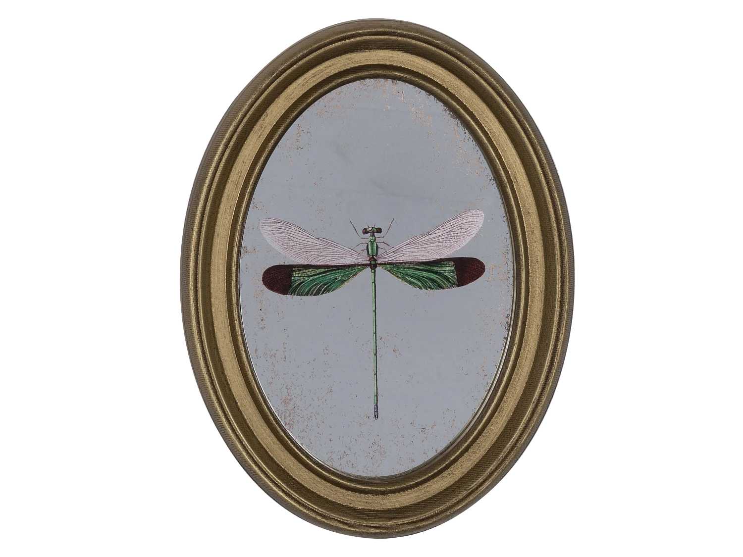 Déco murale encadrée libellule doré 20x30cm