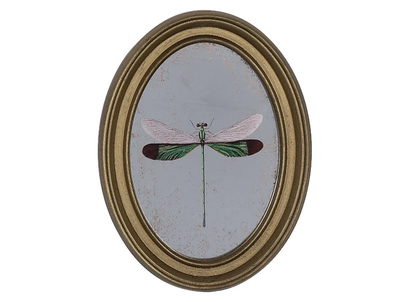 Déco murale encadrée libellule doré 20x30cm