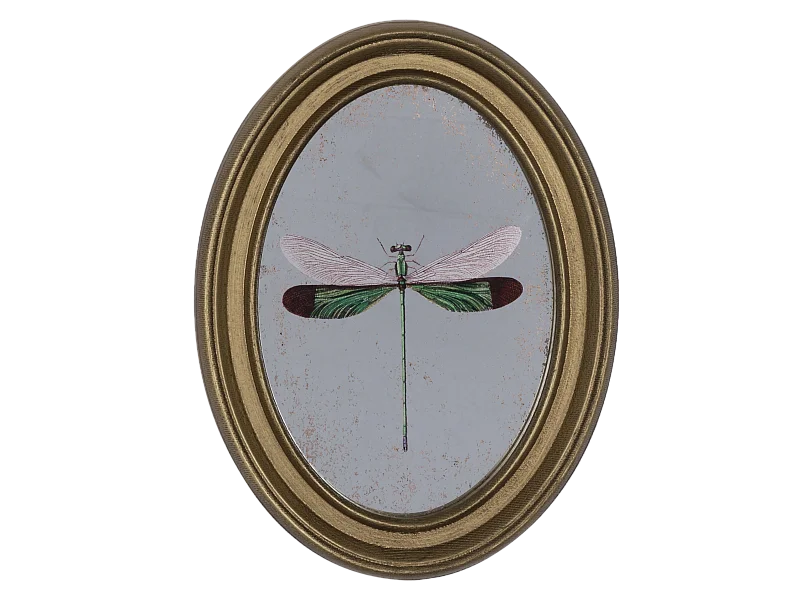 Déco murale encadrée libellule doré 20x30cm