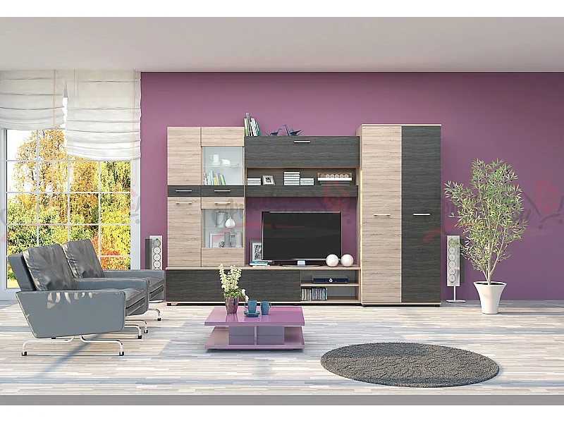 Parete attrezzata moderna con led rovere rovere sonoma/grigio carbone SG2