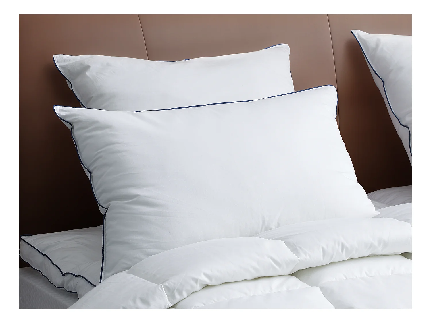 Lot de 2 oreillers moelleux anti-acariens - 50 x 70 cm - enveloppe satin 120 fils/cm² - garnissage 300gr/m² - Blanc passepoil bleu - PRESTIGIA de Palacio