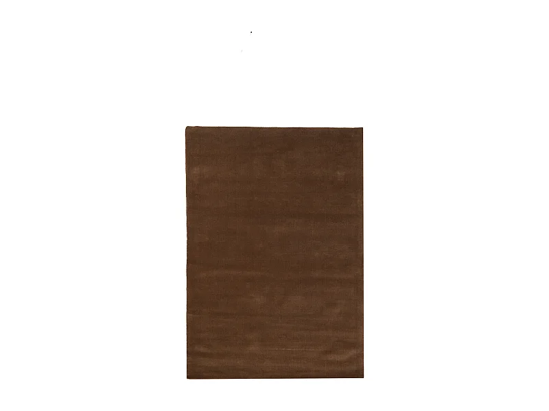 Vloerkleed AZUSA - 160x230x0.5cm - Groen