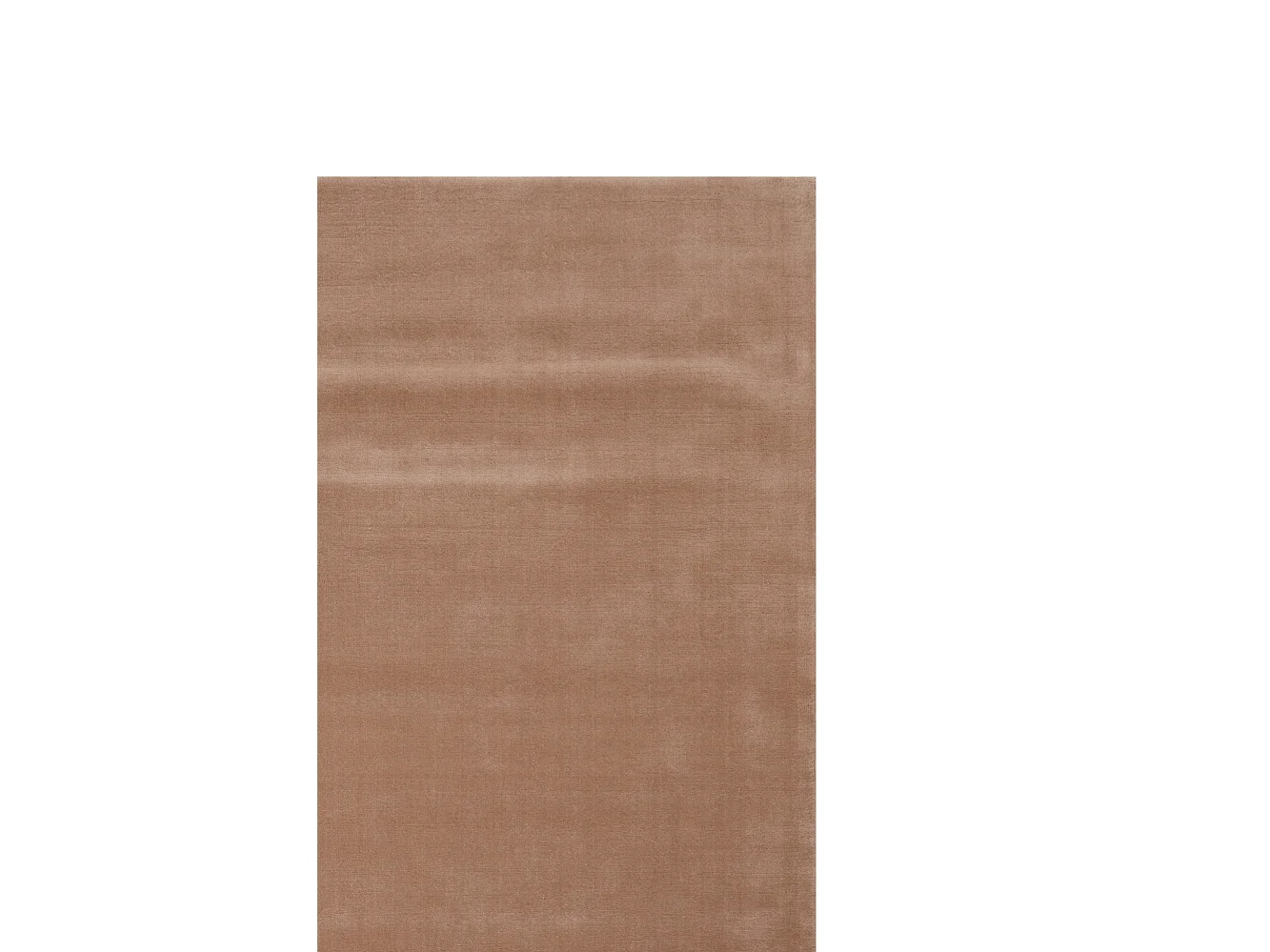 Teppich AZUSA - 200x300x0,5cm - Braun