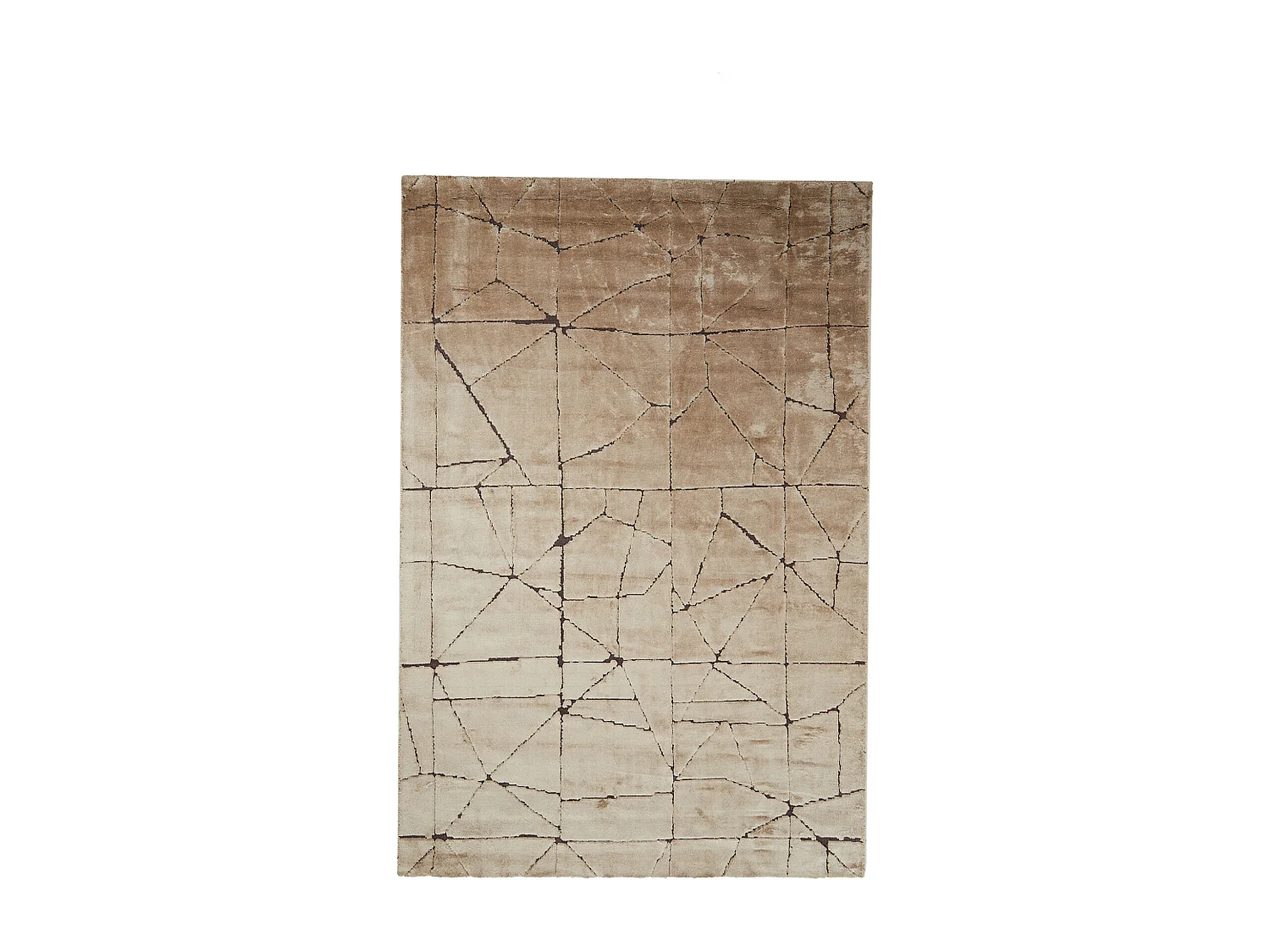 Teppich DACULA - 200x300x0,5cm - Braun