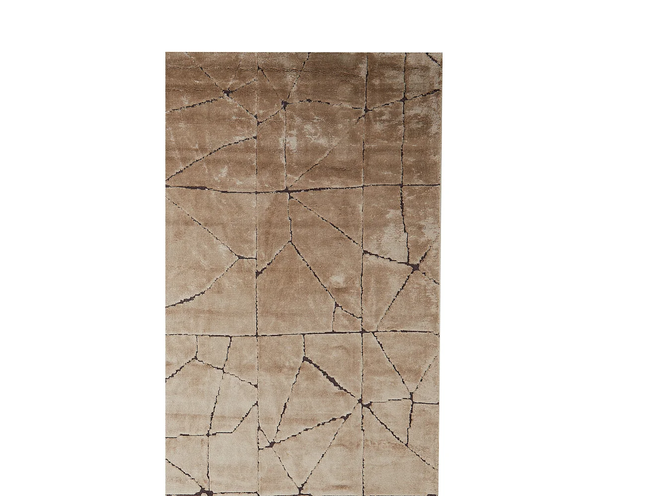 Teppich DACULA - 200x300x0,5cm - Braun