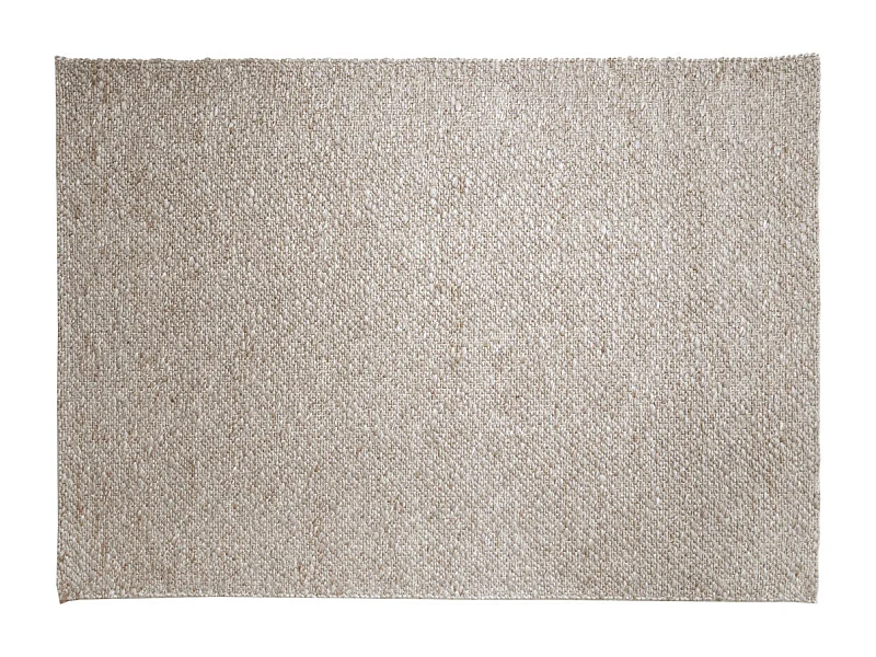 Tapis TRENETA - 300x200x0,5cm - Marron