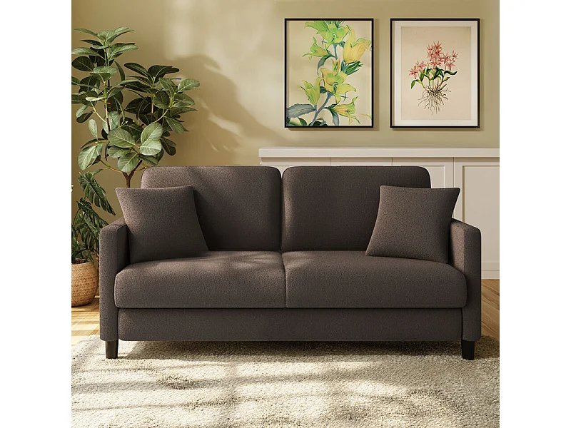 Canapé 2 places en Tissu velours teddy avec 2 Oreillers - Marron - 148 x 89 x 79cm