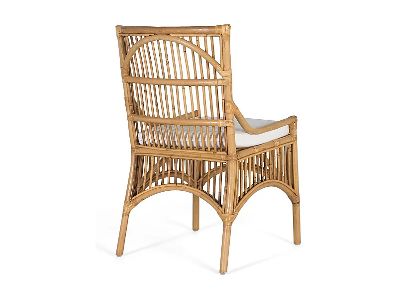 Ensemble de deux chaises en rotin avec coussins rembourrés