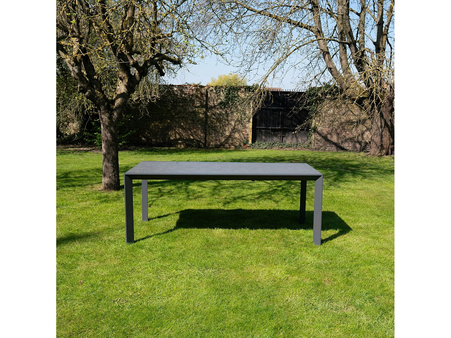Table de jardin aluminium et verre effet pierre 8/12P extensible MODULO