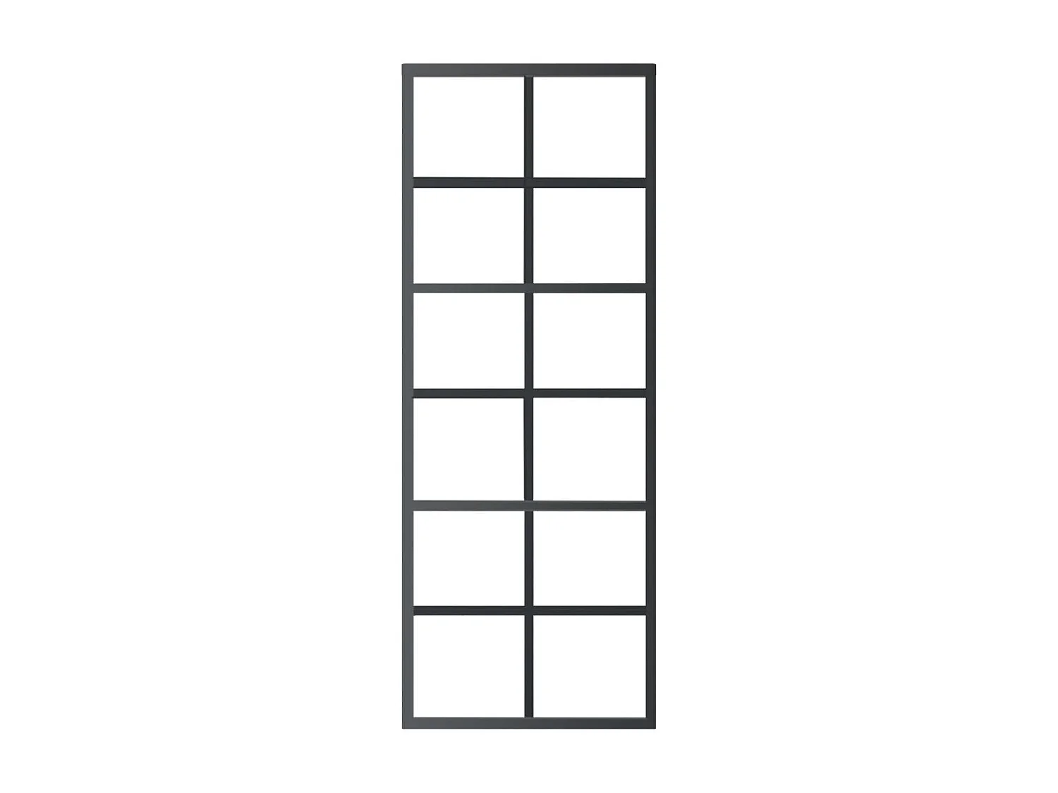 Schiebetür mit Beschlag ESG-Glas & Aluminium 76x205 cm