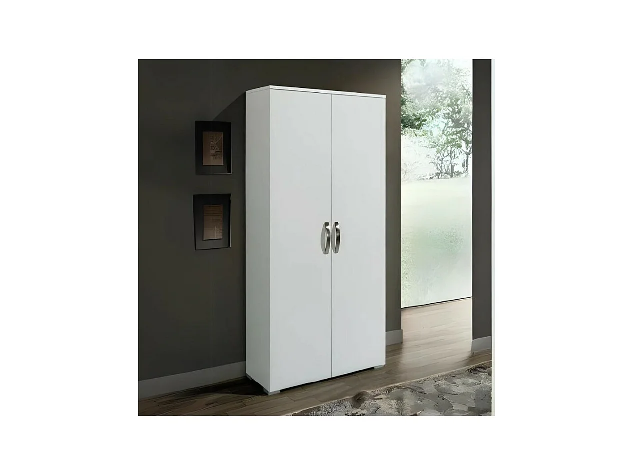 Armadio tuttopiani 2 ante California 86x36x182H colore bianco larice