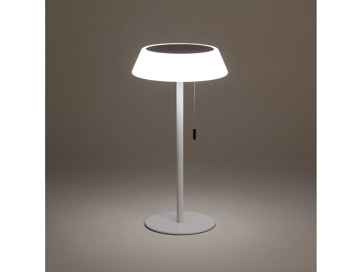 Lampe à Poser Solaire Extérieur LED 1.2W Métal Aldana Blanc