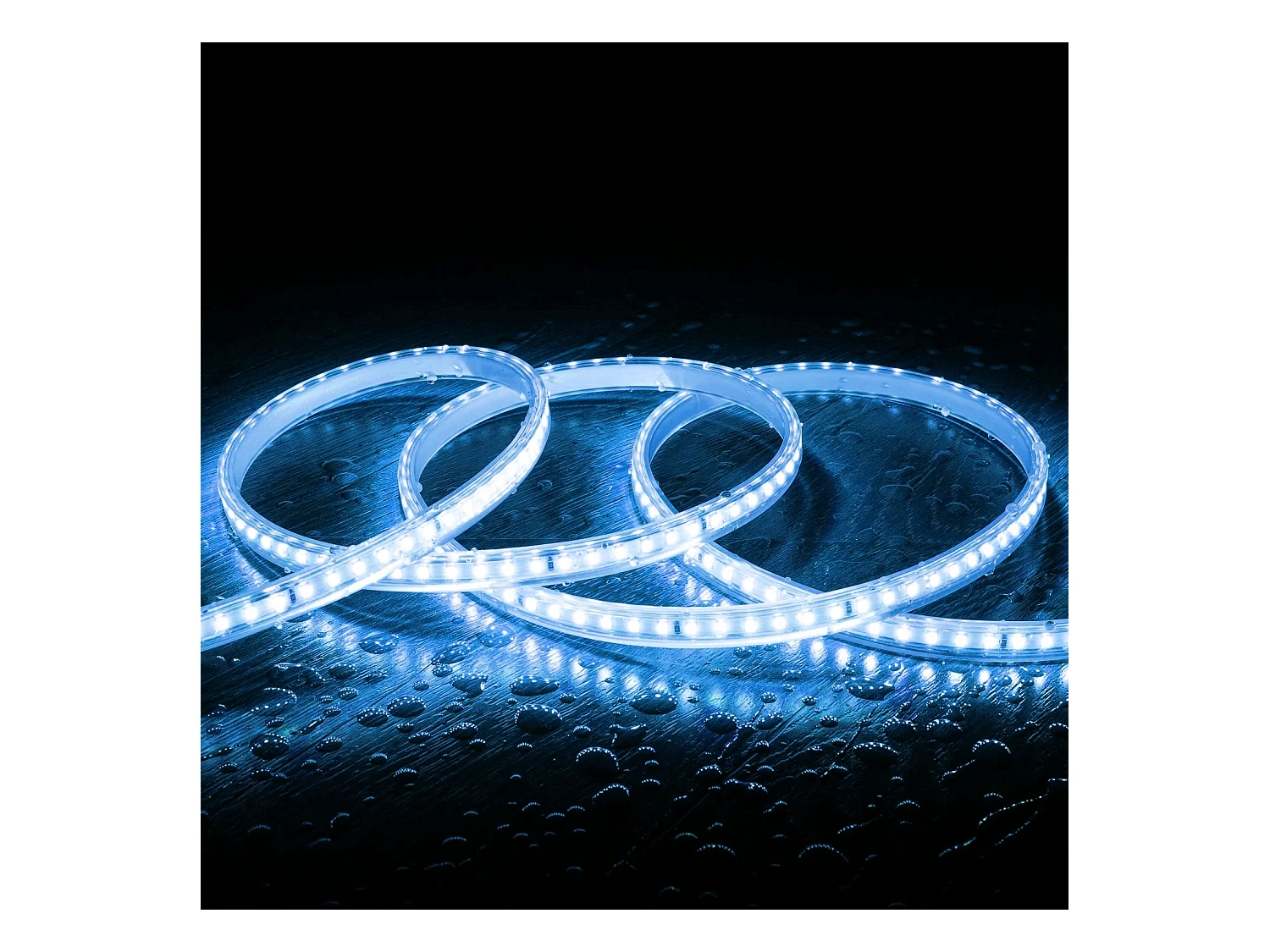 Tira LED Regulable 220V SMD 120 LED/m Color 7.5W/m Ancho 12mm Corte 20cm IP65 a Medida Azul 5 m