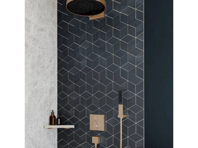 Pommeau de douche HANSGROHE Rainfinity 100 Bronze brossé