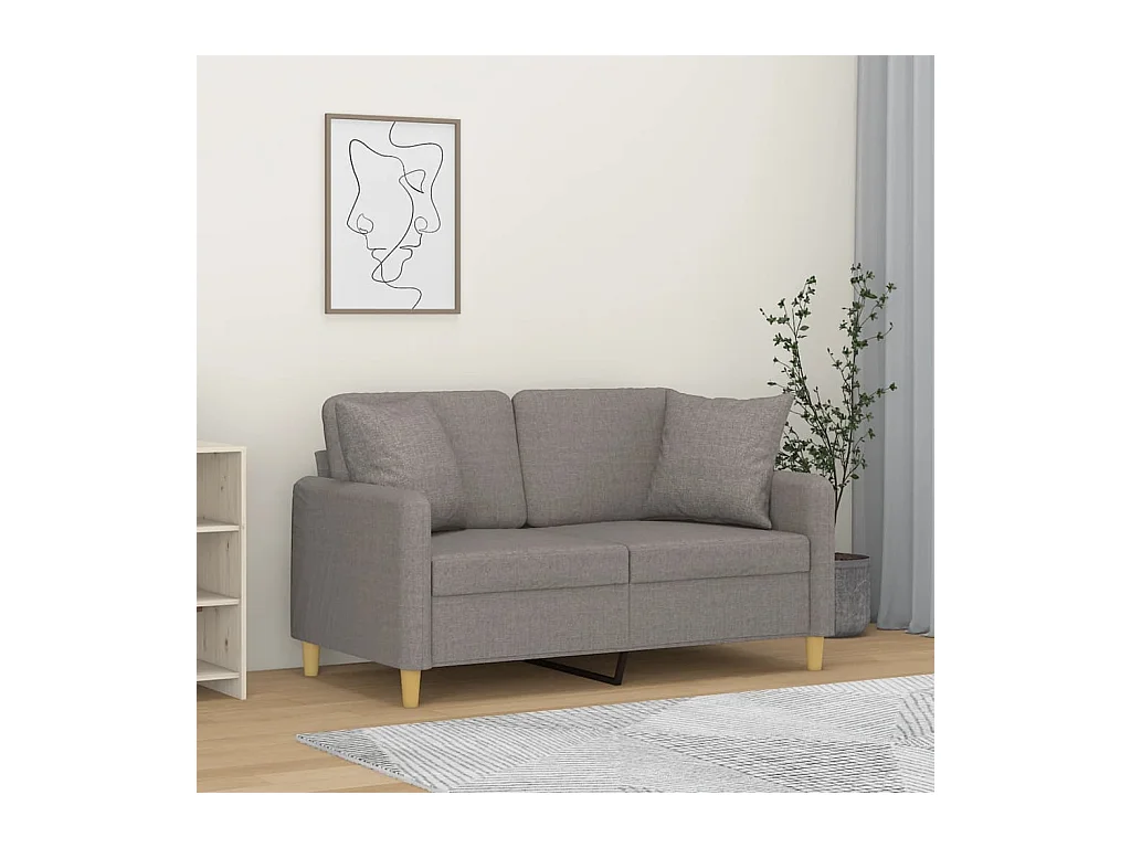 Canapé 2 places avec oreillers décoratifs taupe 120 cm tissu