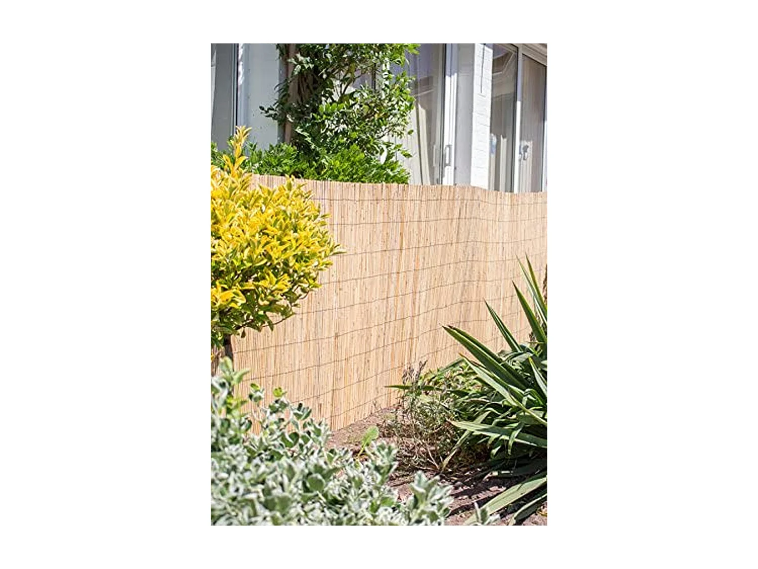 Lot de 2 canisse en bambou, clôture de jardin, couverture de protection contre le vent et le soleil - Longueur 500 x Profondeur 100 cm -JUANIO-