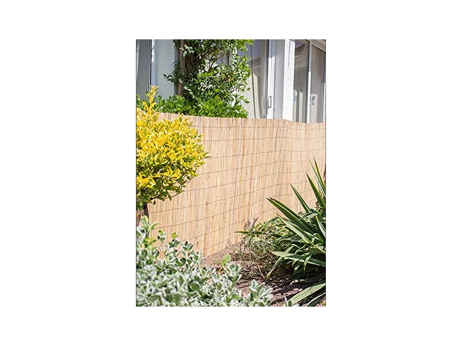 Canisse en bambou, clôture de jardin, couverture de protection contre le vent et le soleil - Longueur 500 x Profondeur 150 cm